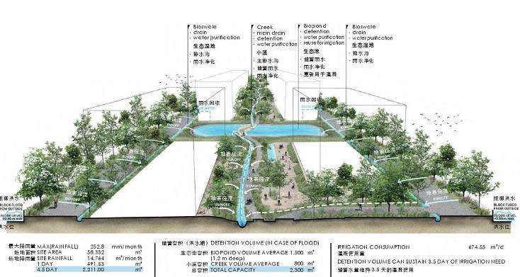 峡谷森林中的3个多代共生社区