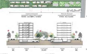 峡谷森林中的3个多代共生社区