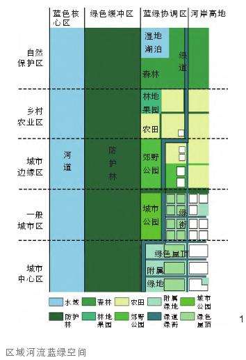 区域河流蓝绿空间的3个概念与关键作用