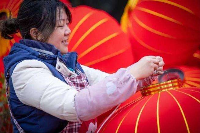 2023年  北京迎春年宵花展