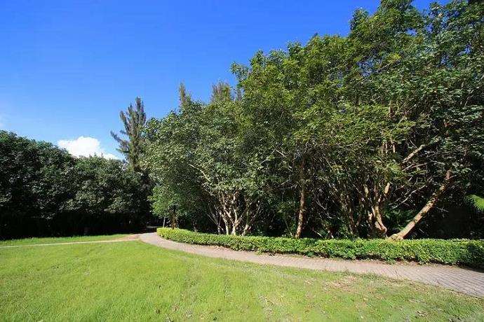 植被管理是提高城市野境功能的3个重要途径