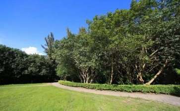 植被管理是提高城市野境功能的3个重要途径