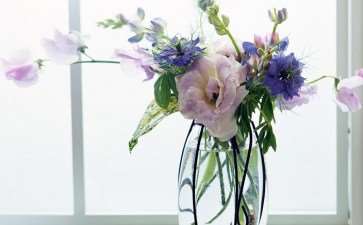 樱子花园插花 读书 做公益的花园式经营