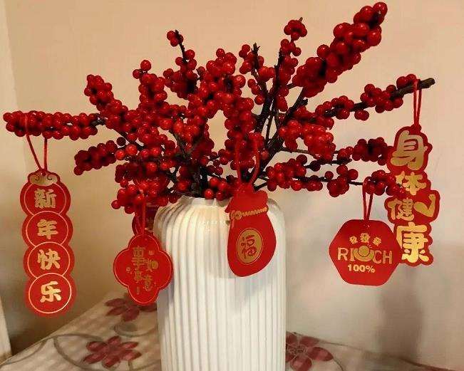 南京樱子花园的2000多盆年宵花 已售罄