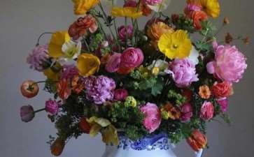 2008年开始 中山承办市民插花大赛