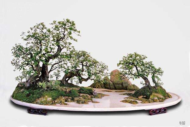 扬派盆景的源流与3个发展