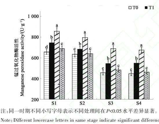 光照强度对盆景灵芝子实体生长发育的影响