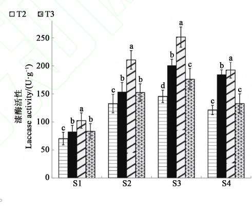 光照强度对盆景灵芝子实体生长发育的影响