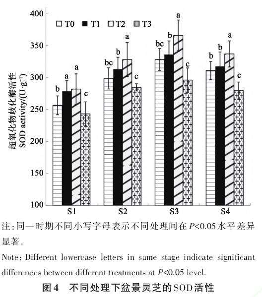 光照强度对盆景灵芝子实体生长发育的影响