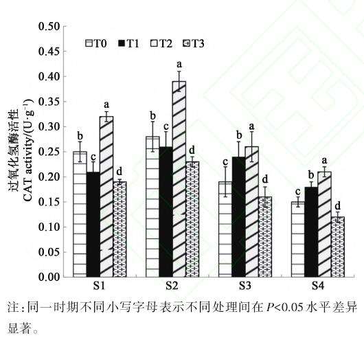 光照强度对盆景灵芝子实体生长发育的影响