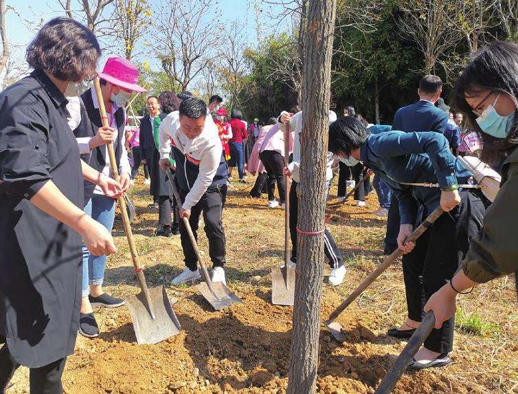 竹洞村培养深山竹林的盆景大师