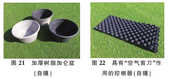 提根型盆景怎么蓄根的3个步骤