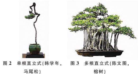 提根型盆景按根的形态有9种分类 图片