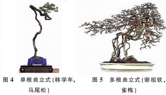 提根型盆景按根的形态有9种分类 图片
