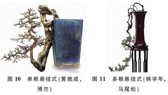 提根型盆景按根的形态有9种分类 图片