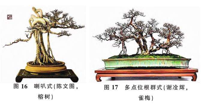 提根型盆景按根的形态有9种分类 图片