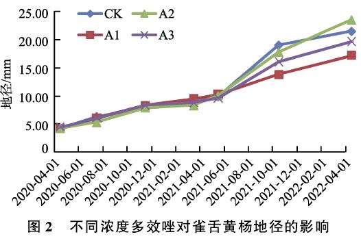 多效唑对雀舌黄杨盆景生长的2个影响