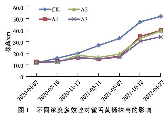 多效唑对雀舌黄杨盆景生长的2个影响