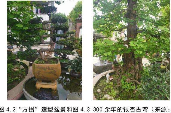 都江堰青城山镇海棠公园的区位背景分析