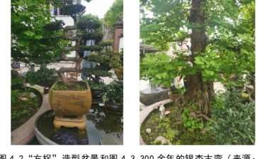 都江堰青城山镇海棠公园的区位背景分析