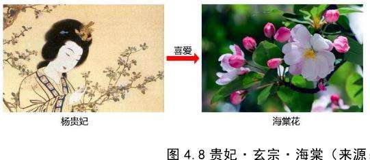 都江堰青城山镇海棠公园的2个人文背景分析