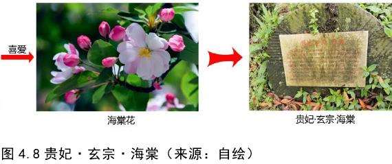 都江堰青城山镇海棠公园的2个人文背景分析