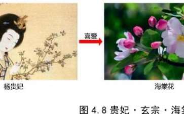 都江堰青城山镇海棠公园的2个人文背景分析