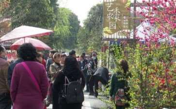 都江堰青城山镇海棠公园的3个整体构思