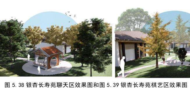 都江堰青城山镇海棠公园的银杏长寿苑