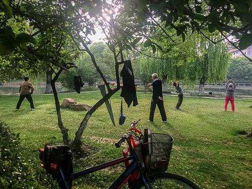 老年人公园绿地社会公平性变动的结论与建议