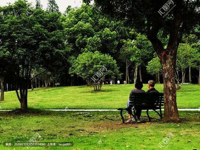 老年人公园绿地可达性的3个测度方法