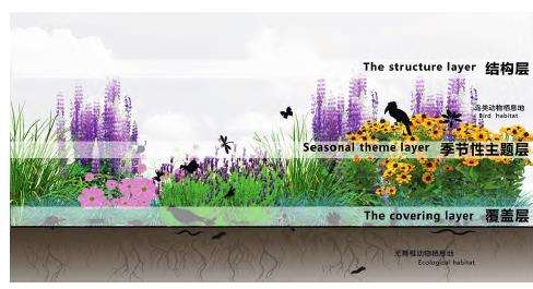 生态群落时空维度下的草本植物选择与应用策略