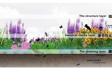 37种草本植物破解沈阳6个月萧条期：全年景观无缝衔接方案