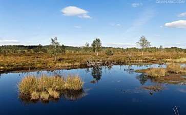 中国自然保护地生态系统怎么修复的4个方法