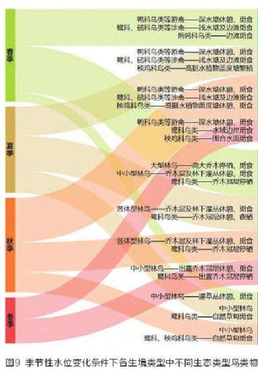 三峡水库澎溪河鸟类群落结构及多样性变化