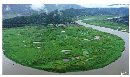 三峡水库澎溪河消落带鸟类生境修复技术框架