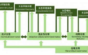 ESG框架生态系统服务治理的内涵与表征框架