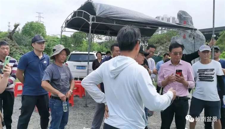 图解 何文开怎么改作三角梅盆景的15个步骤