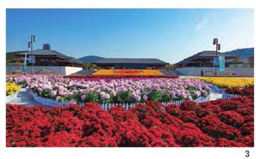 多元文化引领公共园林怎么规划的6个设计