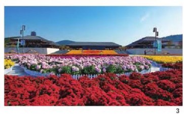 多元文化引领公共园林怎么规划的6个设计