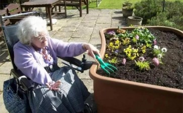 美国园艺疗法师的3个认证体系