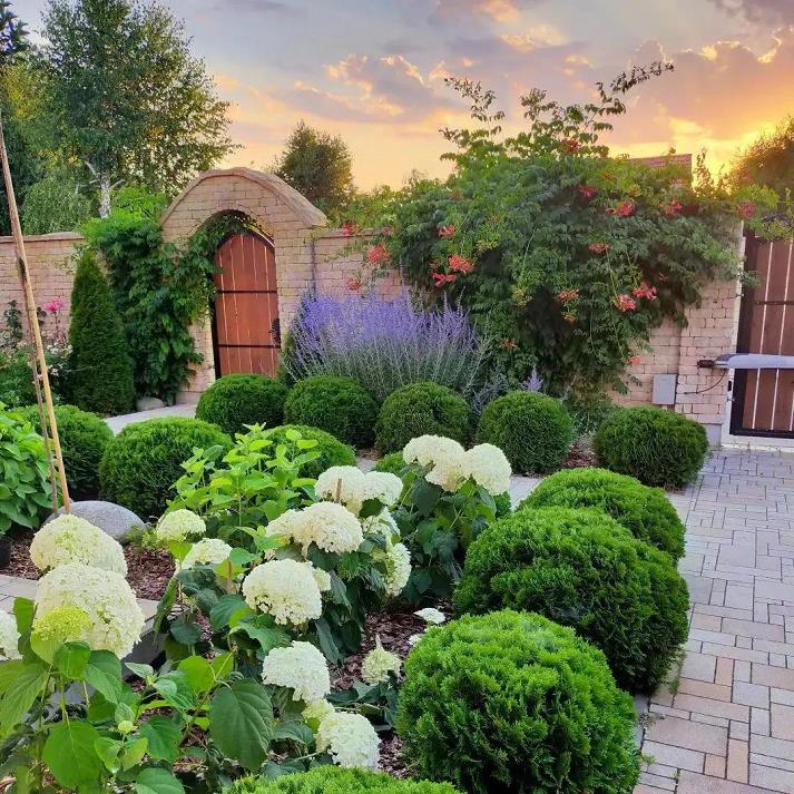 花园实践 一种对安静美德的理解