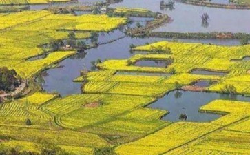 浙江北部平原水乡城镇群3个结论与展望