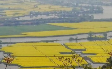 浙江北部平原水乡城镇群的3个城镇群研究进展