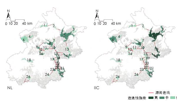 多情景下市郊铁路对鸟类栖息地连通性的影响