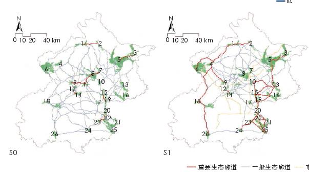 多情景下市郊铁路对鸟类栖息地连通性的影响