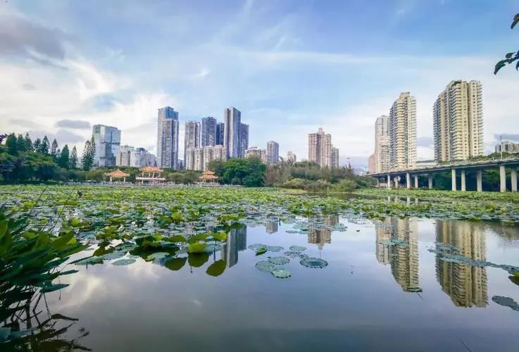 深圳40年公园怎么发展的4个历程回顾