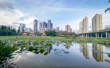 深圳40年公园怎么发展的4个历程回顾