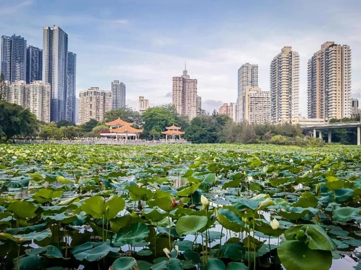 深圳公园城市规划纲要编制思路与实践