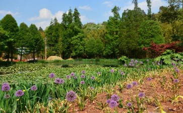 中国植物园时空分布特征及4个植物多样性